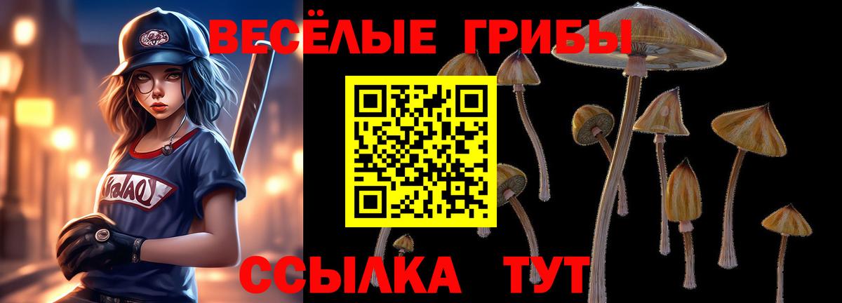 Псилоцибиновые грибы Psilocybe Архангельск